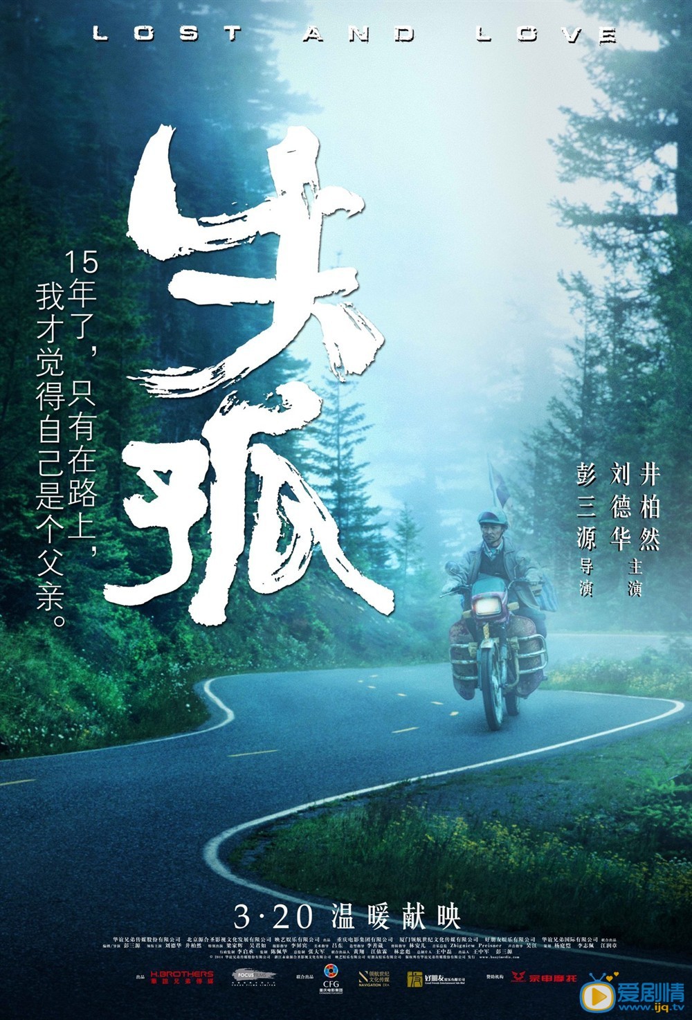 电影失孤剧情介绍   《失孤》刘德华海报