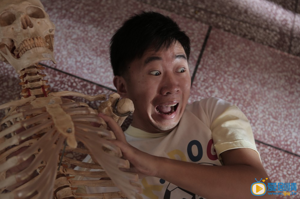  万物生长剧照