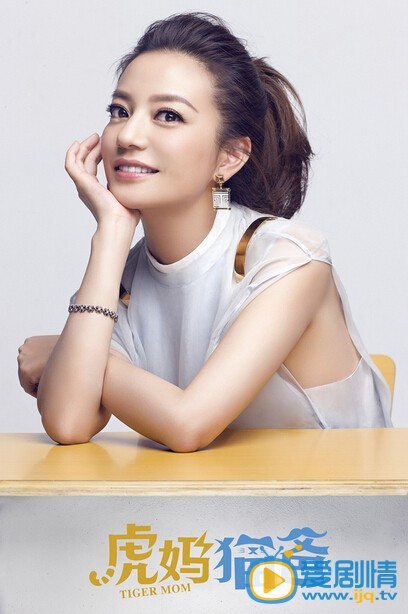 虎妈猫爸剧情介绍 虎妈猫爸海报