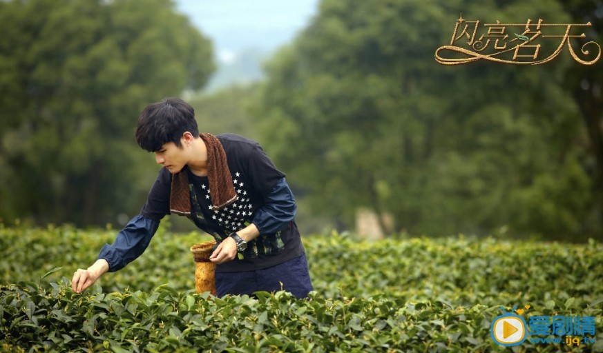 闪亮茗天剧情介绍(1-86集大结局)