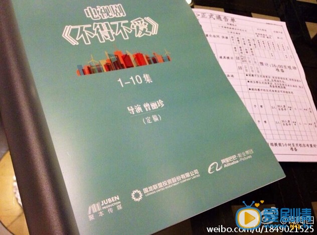 不得不爱剧情介绍 不得不爱定妆照