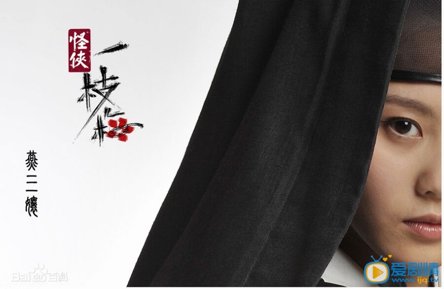 怪侠一枝梅2剧情介绍 怪侠一枝梅2海报