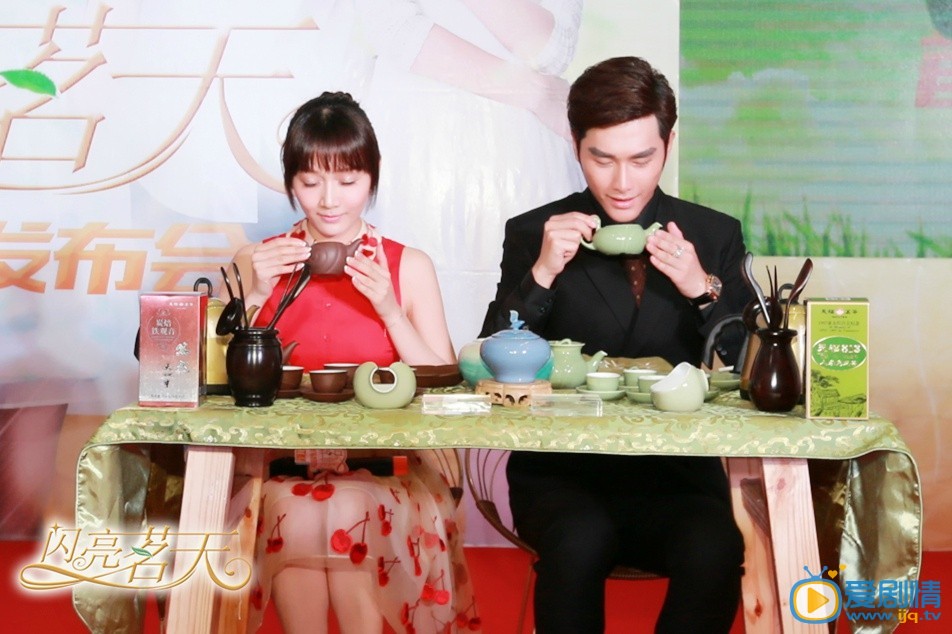 闪亮茗天剧情介绍 《闪亮茗天》发布会照片