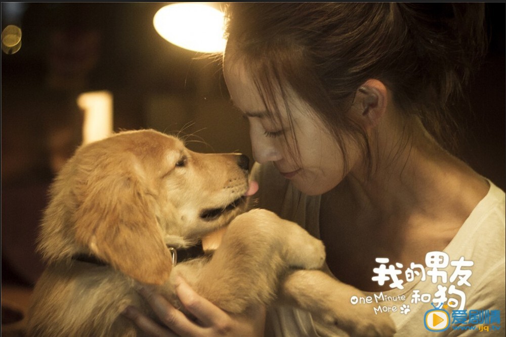 我的男友和狗剧照