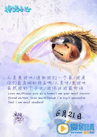 神犬小七广告