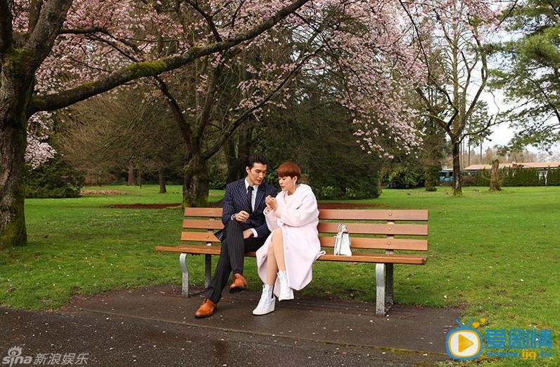  大猫儿追爱记剧照