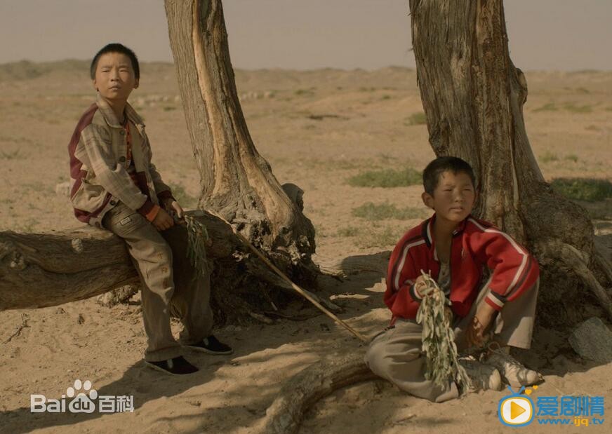 家在水草丰茂的地方剧照