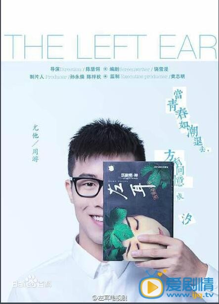 电视剧左耳剧情介绍 电视剧左耳海报