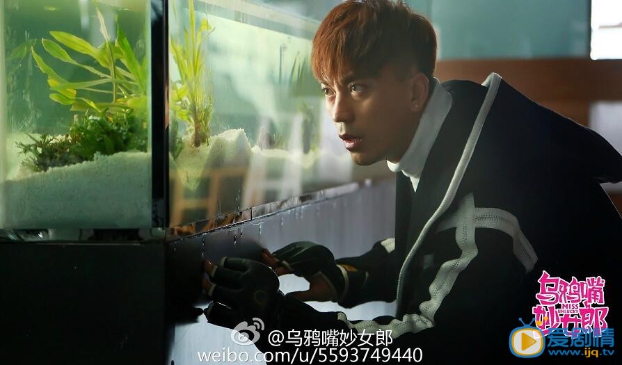 乌鸦嘴妙女郎剧照