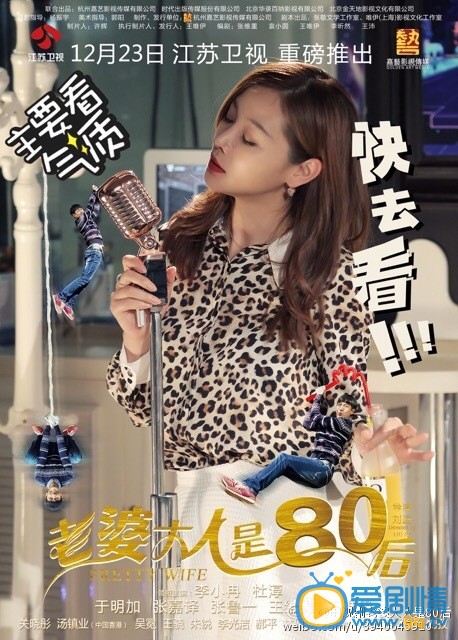 老婆大人是八零后海报