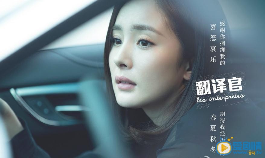 翻译官海报