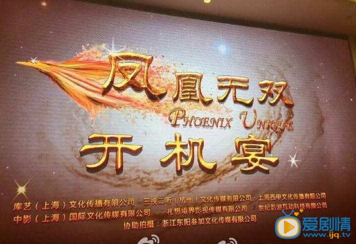 天泪传奇之凤凰无双发布会