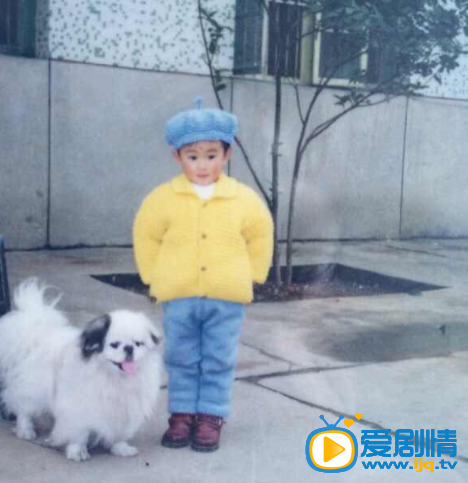 十五年等待候鸟苏苏的扮演者是谁？苏苏的扮演者郑合惠子写真照及生活照欣赏