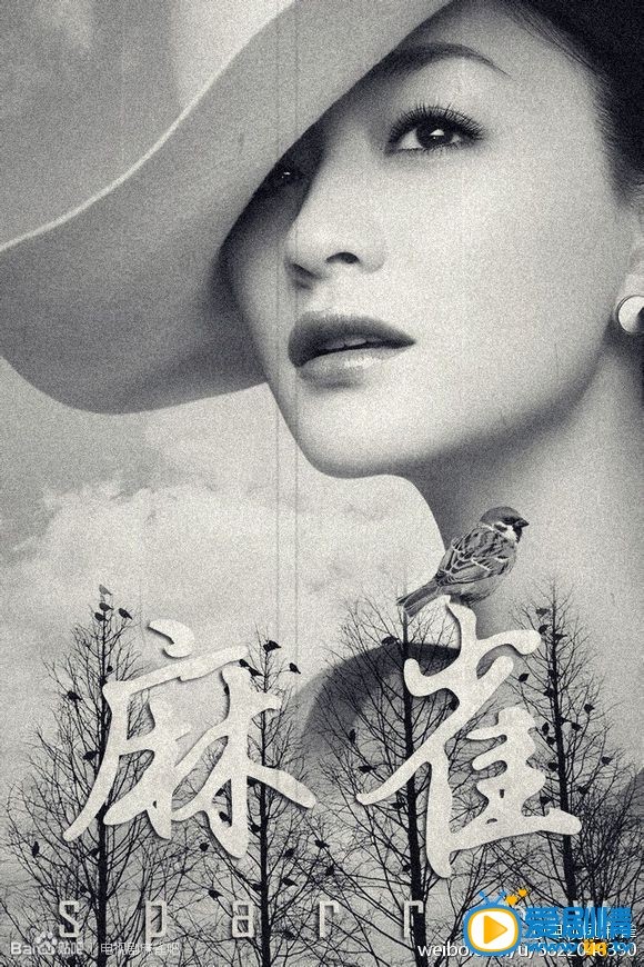麻雀海报