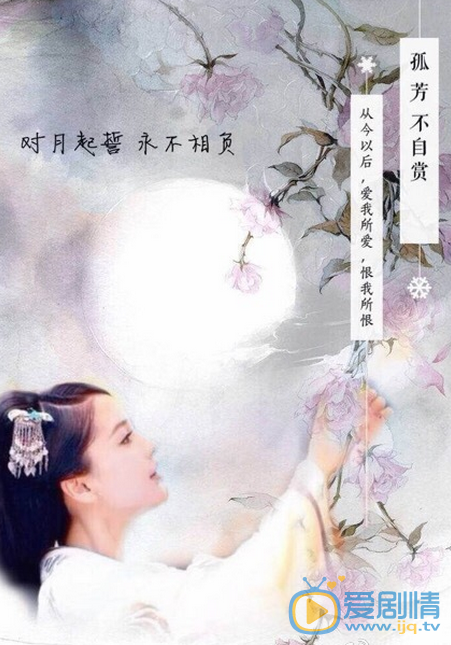 孤芳不自赏剧照