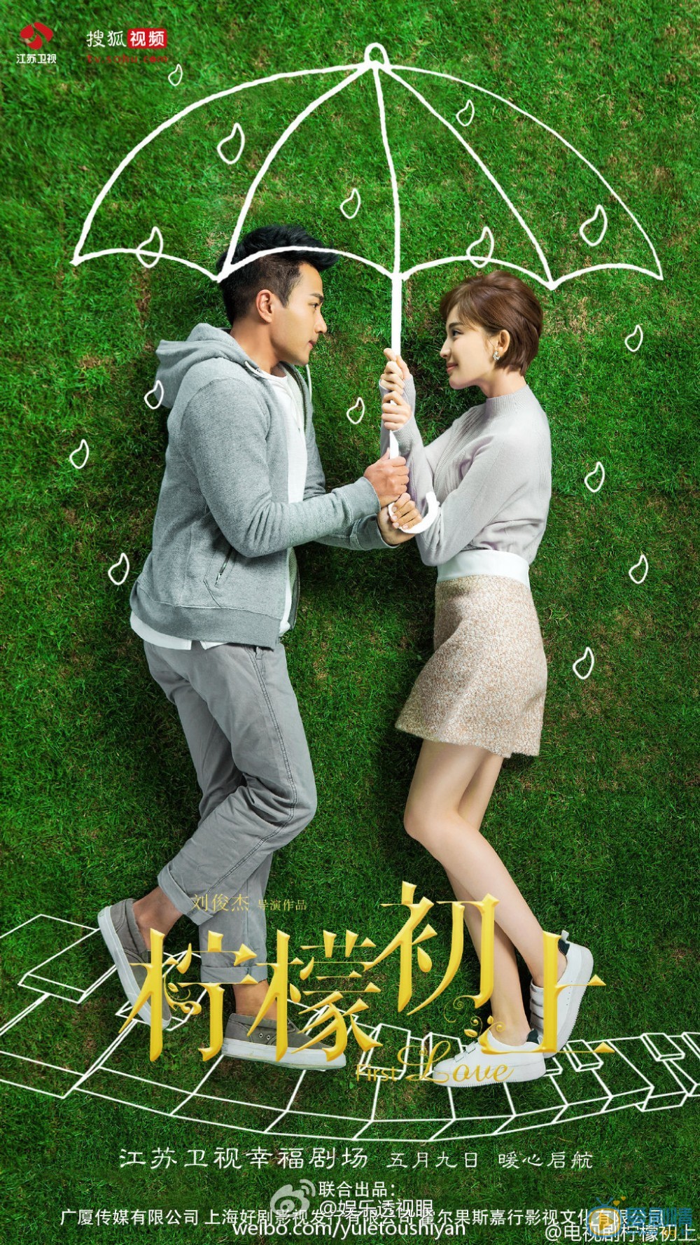 柠檬初上海报