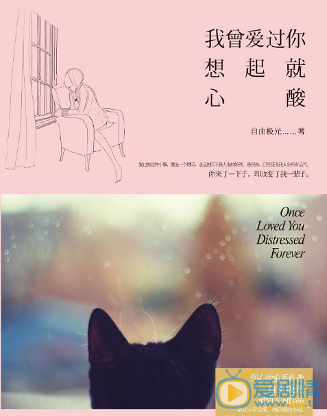《我曾爱过你，想起就心酸》剧情介绍
