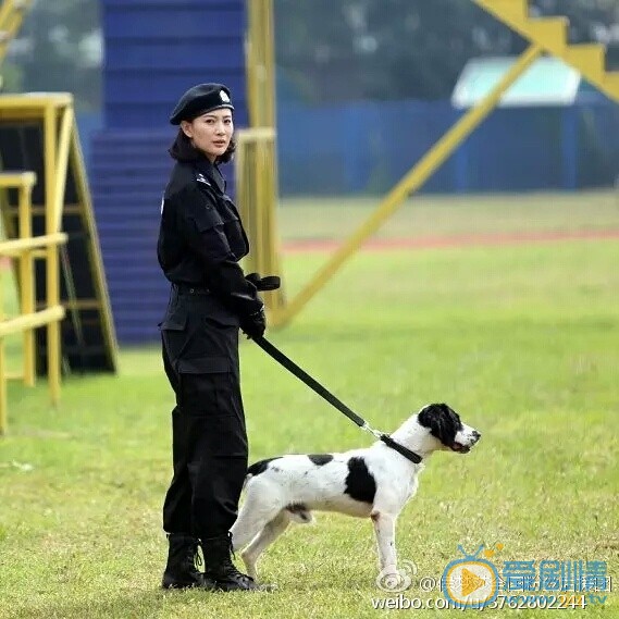 警花与警犬剧情介绍(1-44集大结局)