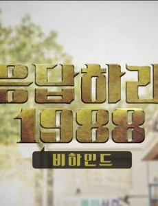 《请回答1988》再现港片风靡韩国盛况"请回答"系列编导再合作打造别样家庭剧