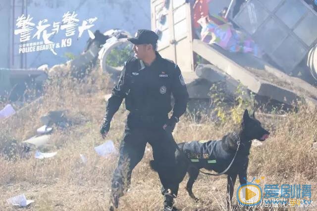 警花与警犬剧情介绍(1-44集大结局)