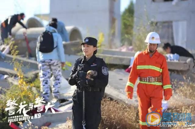警花与警犬剧情介绍(1-44集大结局)