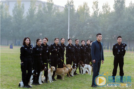 警花与警犬剧情介绍(1-44集大结局)