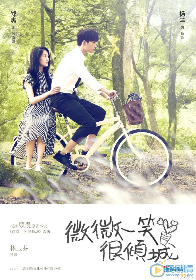 微微一笑很倾城海报