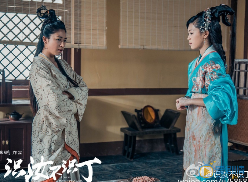 识汝不识丁剧照