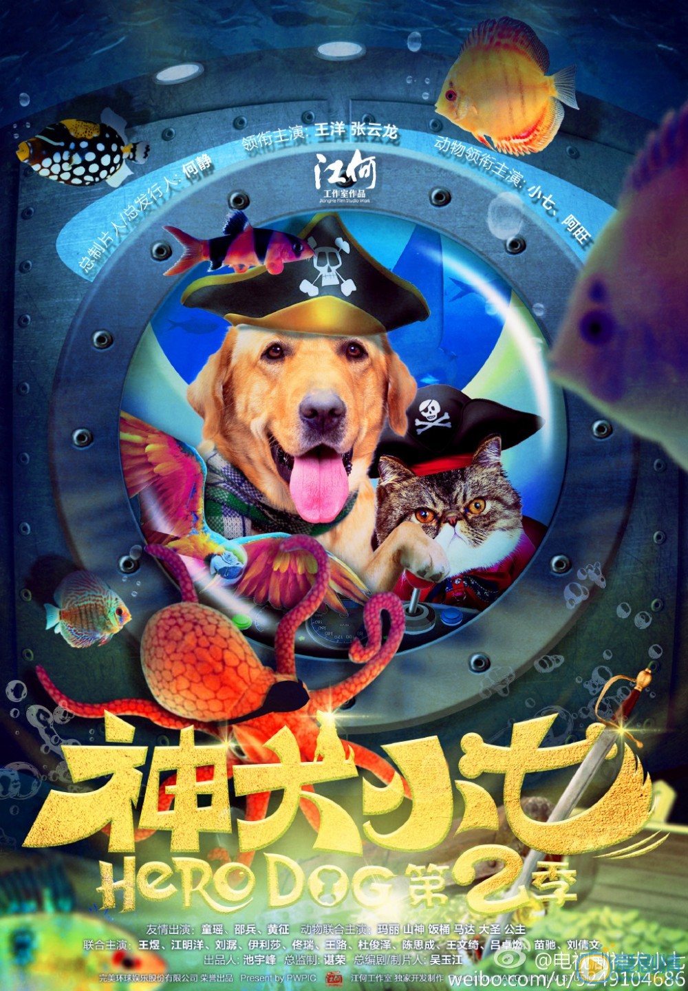 神犬小七2什么时候播 神犬小七2播出时间