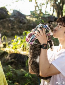 神犬小七2“铲屎官”都有的辛酸事 小七牵线人宠暖暖大爱