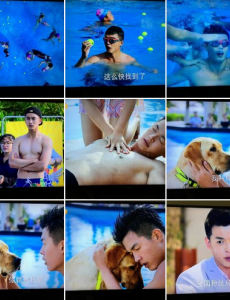 神犬小七2小七勇救落水戴维，小七晋升“七哥”