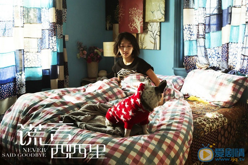 谎言西西里剧照