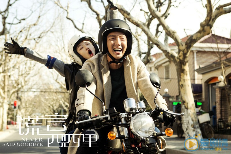 谎言西西里剧照