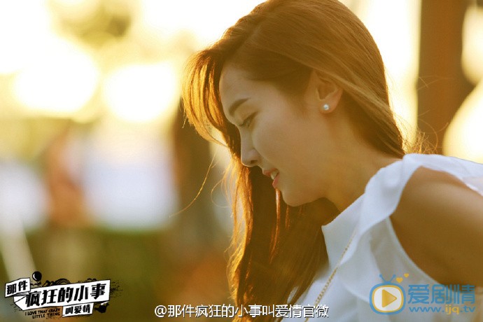 那件疯狂的小事叫爱情剧照