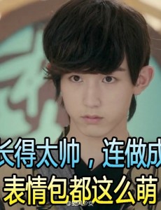 旋风少女2郭俊辰“飞鱼”版表情包来袭