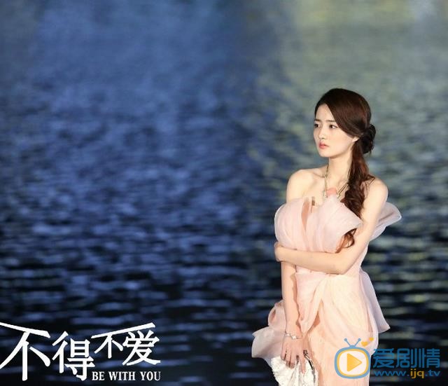 不得不爱剧照