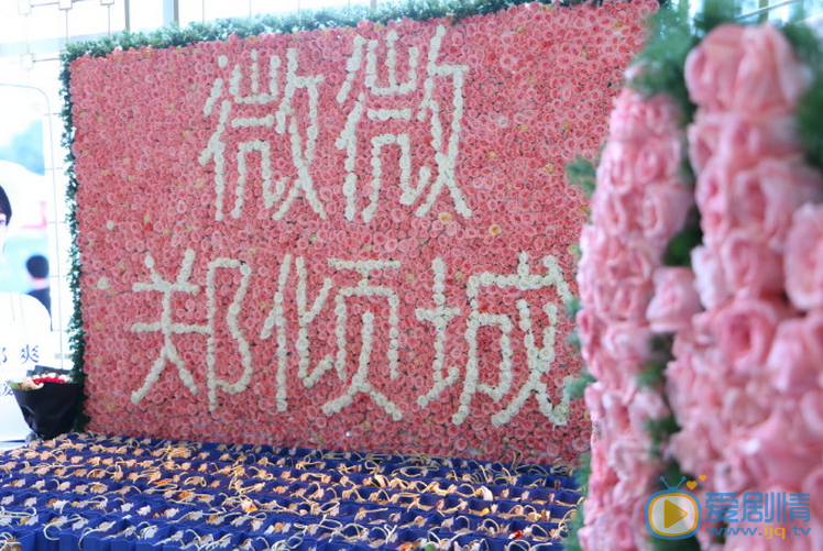 微微一笑很倾城发布会