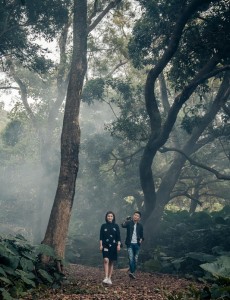 隔离岛