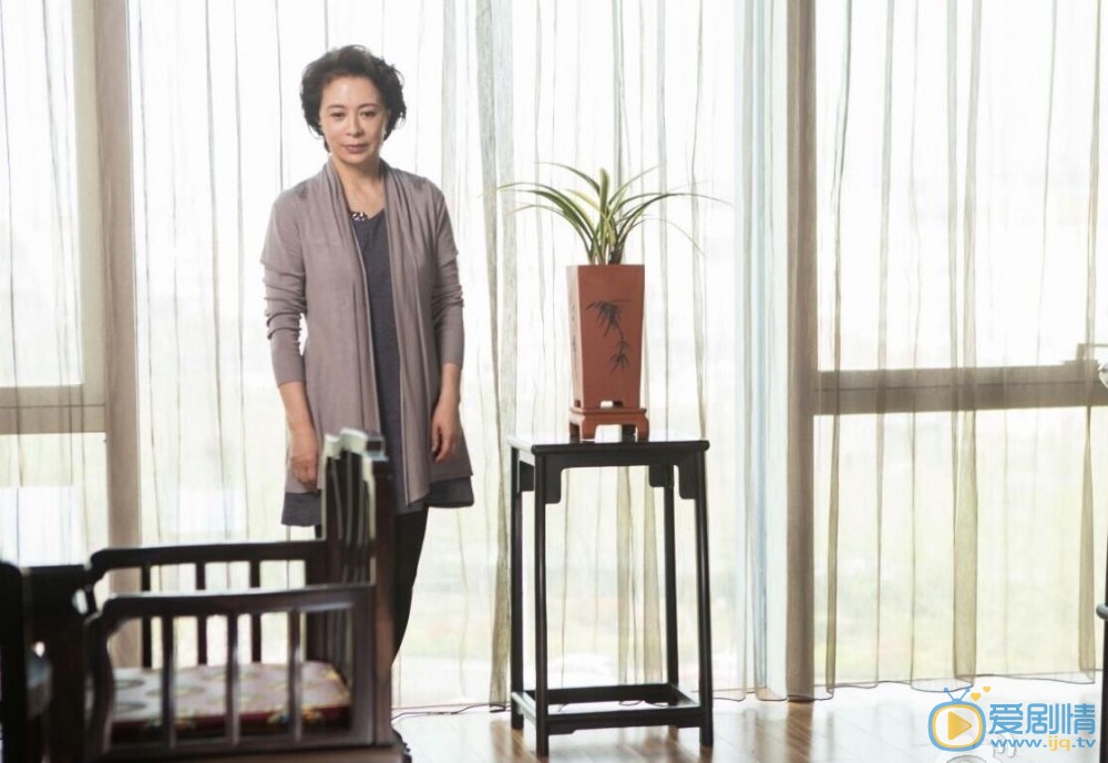 卧虎剧情介绍(1-40集大结局)