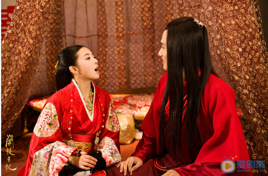 兰陵王妃剧情介绍(1-47集大结局)