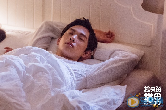 捡来的猫男剧照