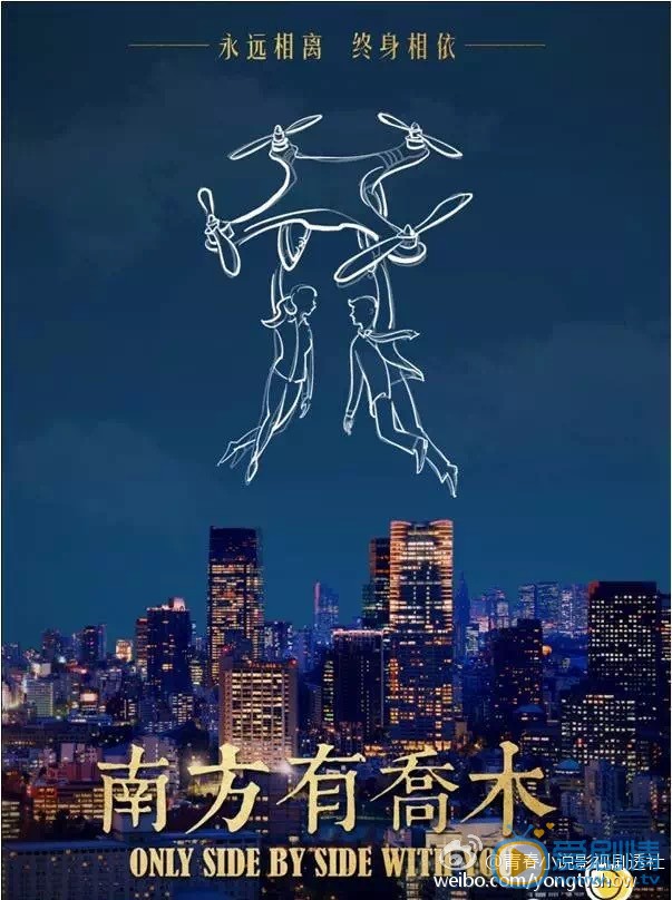 南方有乔木海报