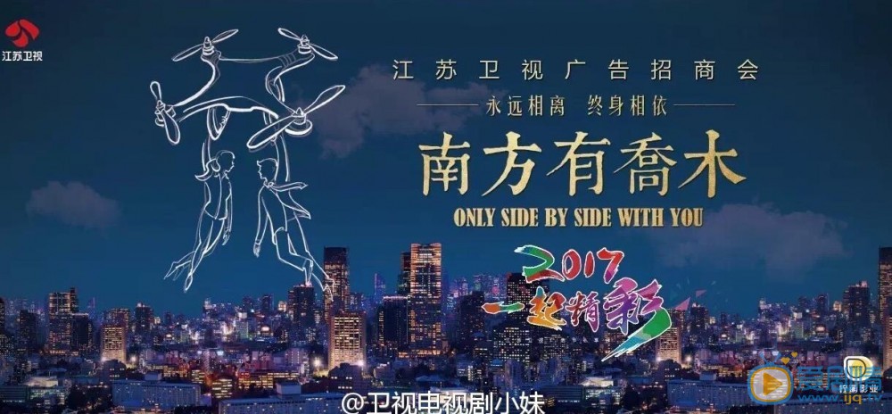 南方有乔木海报