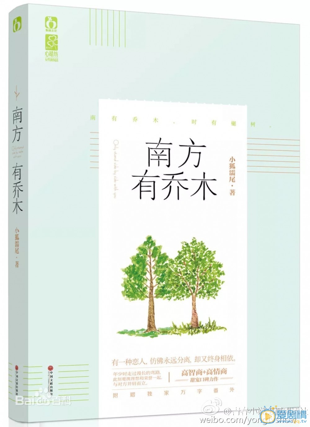 南方有乔木海报
