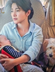 盛先生的花儿什么时候上映 盛先生的花儿上映时间简介