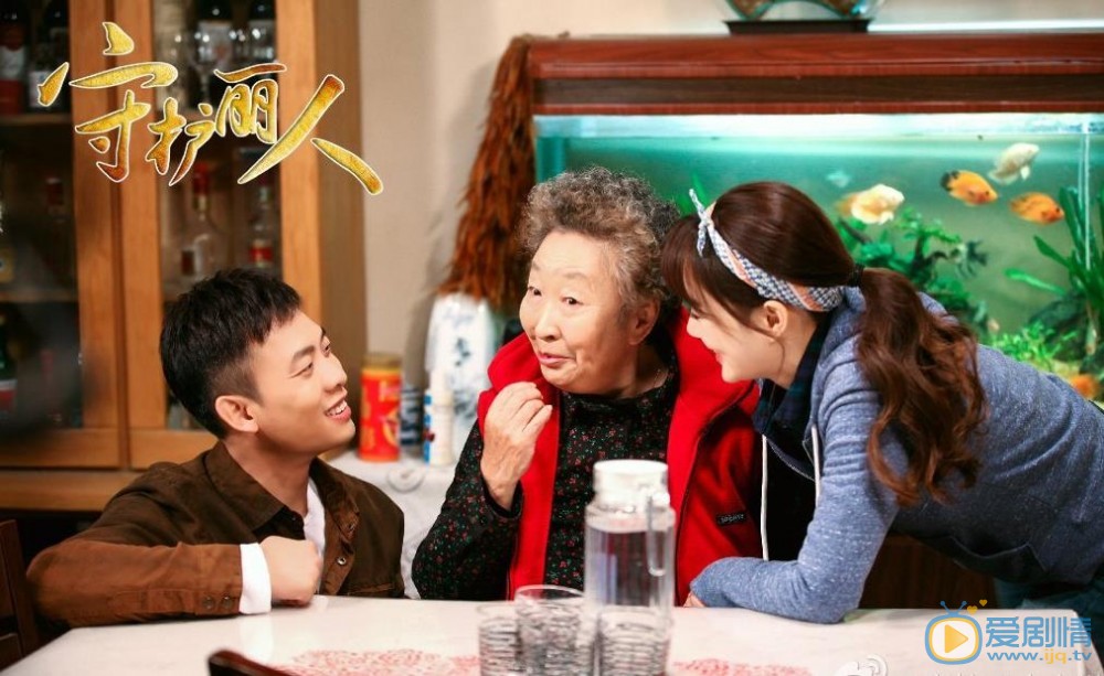 守护丽人剧情介绍(1-48集大结局)
