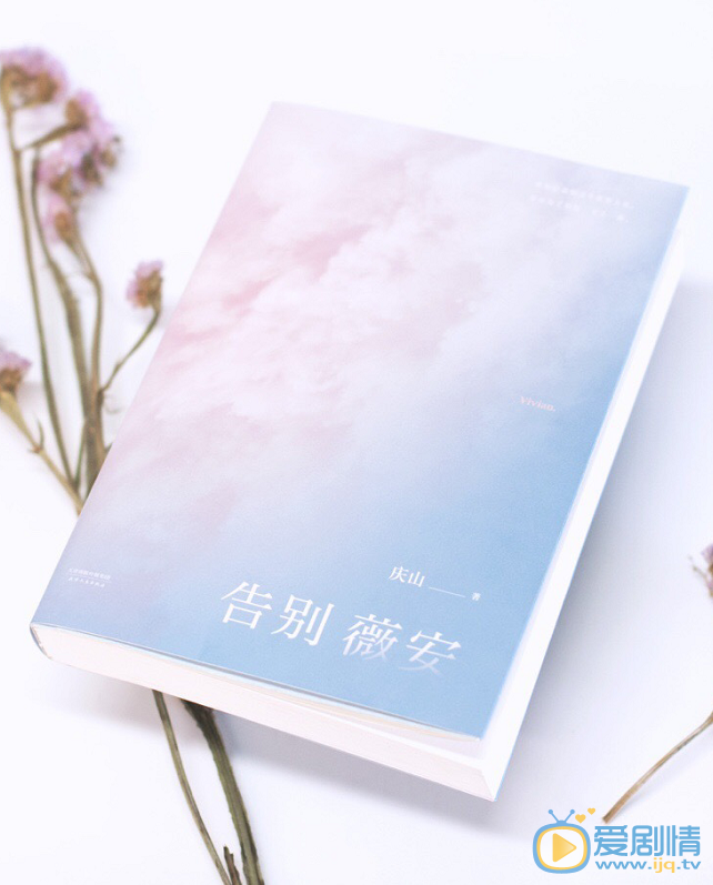 告别薇安剧情介绍(1-40集大结局)