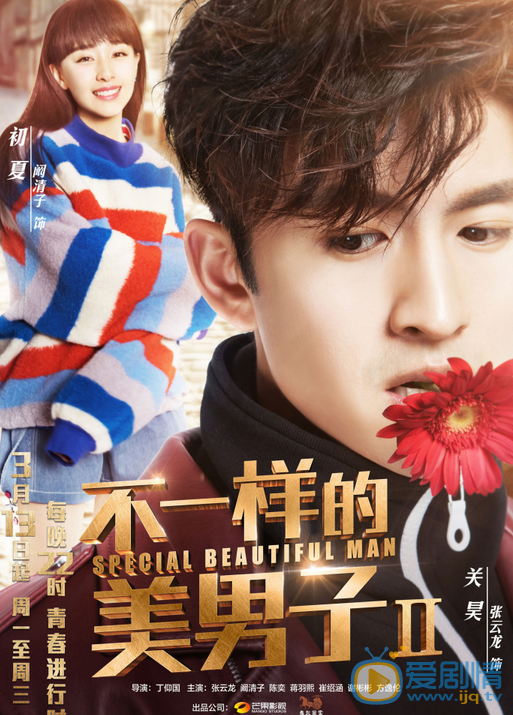 不一样的美男子2海报