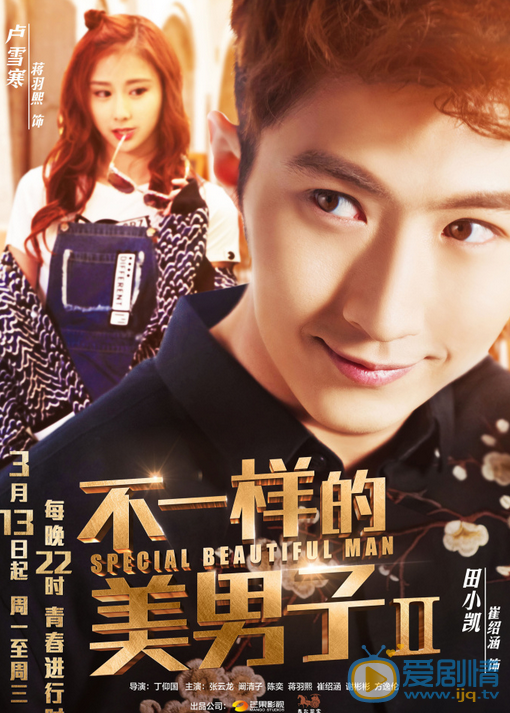 不一样的美男子2海报