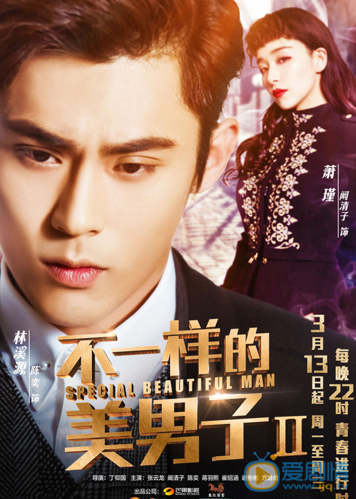 不一样的美男子2海报